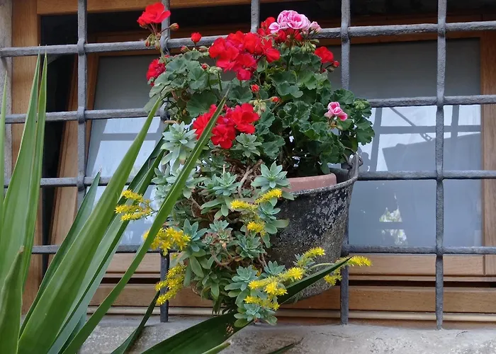 Casa Vacanza Gaia