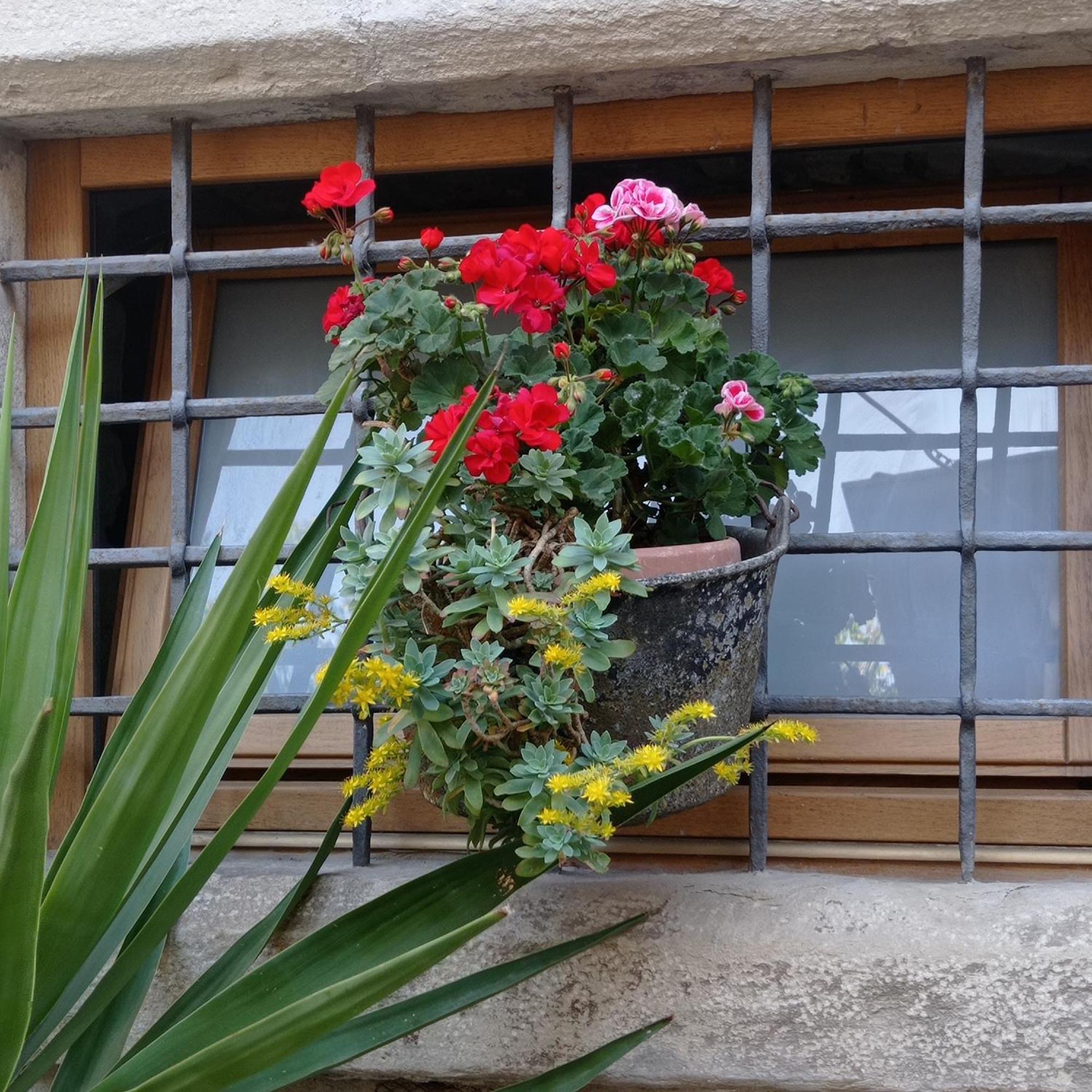 Casa de Férias Casa Gaia *